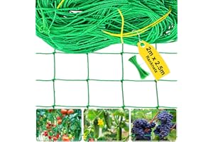 BRSINSE Ranknetz 2M x 2.5M - Ranknetz für Gurken & Kletterpflanzen, Gurkennetz Gartennetz mit 10cm Maschnweite, Pflanzennetz für Tomaten mit 50 pcs Pflanzenbindern, Rankhilfe für Kletterpflanzen