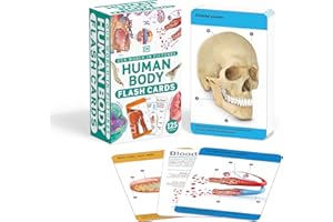 Our World in Pictures Human Body Flash Cards