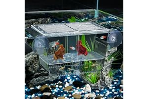 Pawfly Caja de cría de peces de acuario con 6 ventosas de acrílico para peces bebés, camarones, betta, guuppy, platy
