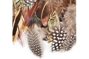 KYNLE Confezione da 50 Piume Naturali Piume Piume Naturali Maculate di Fagiano Naturaleassortite di Piume Miste per Acchiappasogni,Feste in Casa,Cosplay,Accessori di Gioielli E Artigianato Fai-da-Te