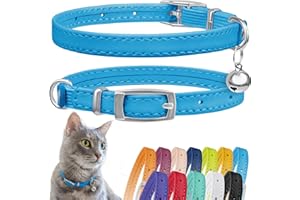 CollarDirect Collier pour Chat en Cuir de Sécurité avec Sangle Elastique, Cloche pour Chaton - Noir, Bleu, Rouge, Orange, Vert Lime (Bleu Clair, 20-28 cm)