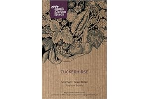 MAGIC GARDEN SEEDS Słodkie sorgo (Sorghum bicolor) - ok. 200 nasion