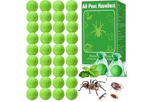 YINEAAE 36 Stück Spinnenabwehr, Natürliches Pfefferminzöl Lebensmittelmotten Falle, Schädlingsbekämpfung für Drinnen und Draußen, Vertreibt Mäuse, Spinnen, Motten, Wespen, Ameisen