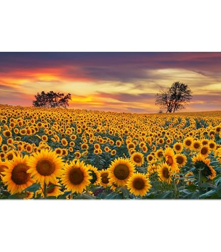 SoulQ Mini Puzzle 1000 Pezzi Per Adulti 'Notte Stellata' E Altri Motivi | Dimensioni 42x29,7 Cm - Cartone Riciclato