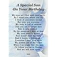 A Special Son On Your Birthday Memorial Graveside Poem Keepsake Card Includes Free Ground Stake F189