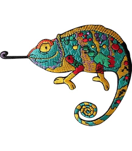 Gekko en hagedissen in het buitenland: wat moet je doen, zijn ze gevaarlijk en waar kom je ze tegen