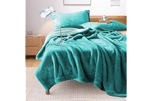‎YISURE YISURE Flauschige Decke Wasserdicht 230x203cm für Sofa Bett Intimität, Reversible Lovers Squirt Decke für Erwachsene, Leakproof Protector Cover für Couch Bett Matratze/Möbel (Aqua/Türkis)