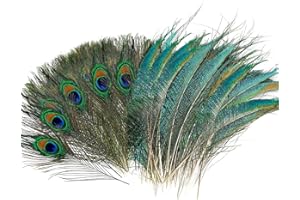 Ezydka Piume di Pavone Naturale 40 Pezzi Piume di Pavone Decorative Piume Naturali Verdi, Piume Decorative Piuma di Pavone per Cappelli, Costumi, Decorazioni, 25-30 cm e 30-40 cm