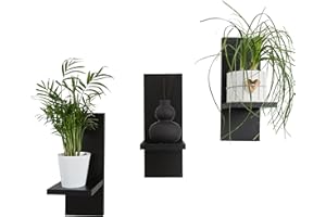 ‎MEX-SYSTEM Mex-System Blumenregal 3er Set Stilvolles Wandregal Holz für Ihre Pflanzen und Wanddeko (Schwarz)