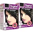 Vegetal Bio Hair Colour Soft Black |150g (Pack of 2)| Achieve Natural, Ammonia-Free Hair Color|PPD-Free, 100% Herbal Certified Organic for Men & Women|UV Protection & Luster Maintenance |Complete Kit