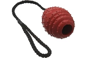 CLASSIC Pet Products Rubber Oval Ball on a Rope, Large, 100 mm, Red/Black