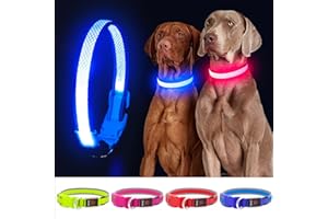 YFBRITE Light up Dog Collar, USB Rechargeable LED Dog Collar, Adjustable Flashing Dog Collar, Reflective Dog Collar Safety Glowing for Small, Medium, Large Dogs (Blue, Medium)