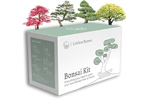 LittlestForest - Kit Bonsai para Principantes - Todo lo que necesitas para cultivar tus propias plantas bonsais naturales interior y exterior. - Semillas y herramientas bonsai