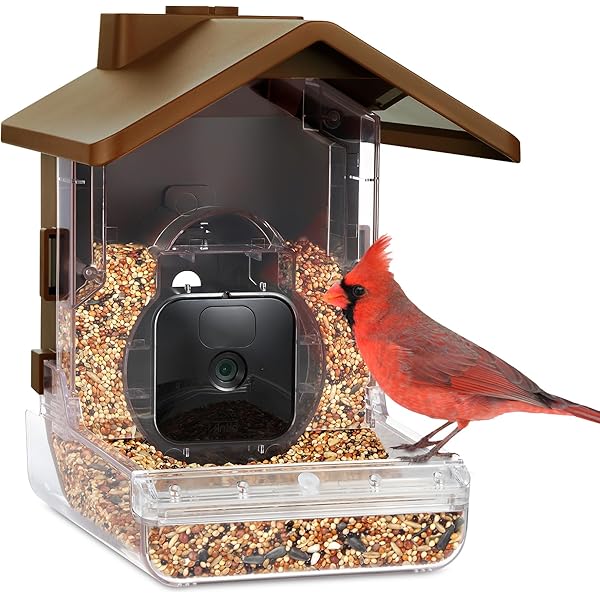 Pef Retuschieren Archäologe vogelfutterhaus mit kamera aldi Auto