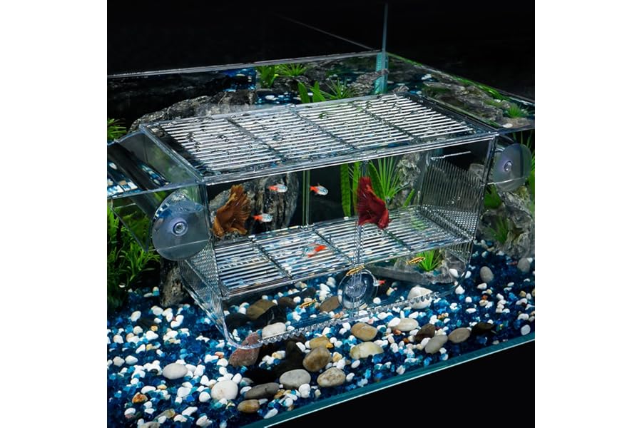 Pawfly Large Fish Breeding Box For Fish Tank Hatchery Incubator Baby Fish Tank with 6 Suction Cups Acrylic Hatching Box for Baby Fish Shrimp Betta Small Acclimation Isolation Box