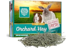 Small Pet Select Orchard Grass Hay Pet Food for Rabbits, Guinea Pigs, Chinchillas and Other Small Animals, Premium Natural Hay Grown in The US, 2lb (0.91kg)