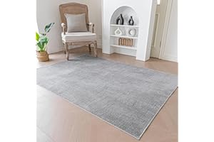 Evitany Modern Area Rug for Living Room Washable Short Pile Carpet Anti-Slip Rug Soft Bedroom Rugs with Home Rugs(Grey,80x150 cm)