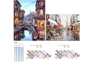 TARATH 2 Pezzi Dipingere con i Numeri per Adulti Principianti Bambini, Pittura a Olio Dipinta a Mano Fai da Te su Tela per Regalo di Compleanno di Natale, Senza Cornice