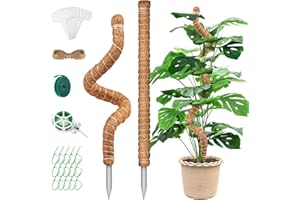 VEVOQIM Pflanzenstütze, 2 Stück 65CM Monstera Rankhilfe,Pflanzstab Rankhilfen für Kletterpflanzen,Biegsame moosstab für Monstera,Natürlicher Kokosstab mit Zubehör von Zimmerpflanzen (2 Stück)