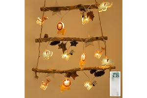 Liyade Guirlande lumineuse LED animaux intérieur, 2,2M 12LEDS guirlande lumineuse chambre d'enfant avec minuterie à piles, veilleuse enfants pour intérieur, fête, décoration de chambre