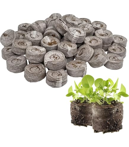 Hejo 30 Pezzi Vaschette Alluminio Quadrato con In-Scatola, 1200ml