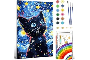 jieyisier Chat Peinture Numero Adulte Avec Cadre,Peinture par Numero Adulte Avec Boîte Colorée,Le Ciel étoilé Kits de Peinture au Numéro pour Décoration Maison et Cadeau 20x30cm