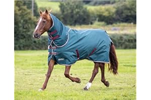Shires Tempest Original 200 Turnout Rug & Neck Set - Green