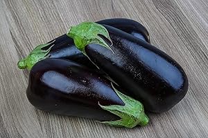 PRADEMIR Semillas vegetales orgánicas (BIO Berenjena Black Beauty)