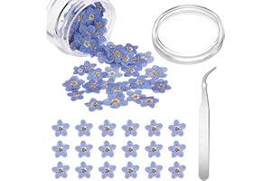 Blulu Flores Naturales Secas de No me Olvide Pinza de Codo Plata Flores Prensadas Reales de No me Olvides Pequeñas Flores Prensadas para Fabricación de Tarjetas Velas Joyería DIY