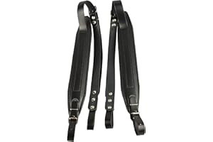 BELTI Correas de piel de acordeón 6 cm, hasta 120 bajos