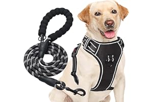 haapaw Hundegeschirr ohne Zug, einstellbar, reflektierend, Oxford, einfache Kontrolle, mittelgroßes Hundegeschirr mit kostenloser, strapazierfähiger Hundeleine