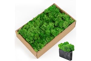 AIYONG Islandmoos, Grün, Btl. 200 g, echtes Natur-Moos (Island), konserviert, gereinigt, zum Basteln, Deko-Moos zu Ostern, Weihnachten, für den Modellbau, Handgefertigt, Moosbild Deko