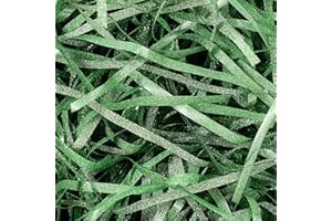 SKYGAD Verpackungsmaterial Füllmaterial Geschenkbox, 100G Glänzend Geschreddertes Papier Paket Weihnachten Geschenkkorb Füllpapier, DIY Papierschnipsel Ostergras Karton Geschenkfüll Material Raffia (Grün)