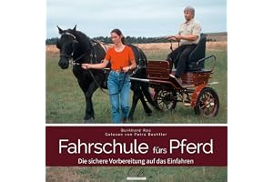 Fahrschule fürs Pferd: Die sichere Vorbereitung auf das Einfahren