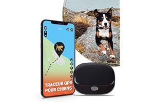 PAJ GPS Pet Finder 4G - Traceur GPS pour Chiens - Étanche IP67 - Laisse Inclus - Suivi en Direct - Protection pour Les Chiens