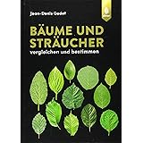 Bäume und Sträucher: Vergleichen und bestimmen