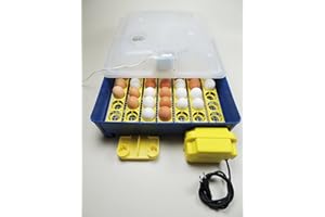 Campo24 Markenware GWM Inkubator Brutkasten Brutmaschine Brutapparat