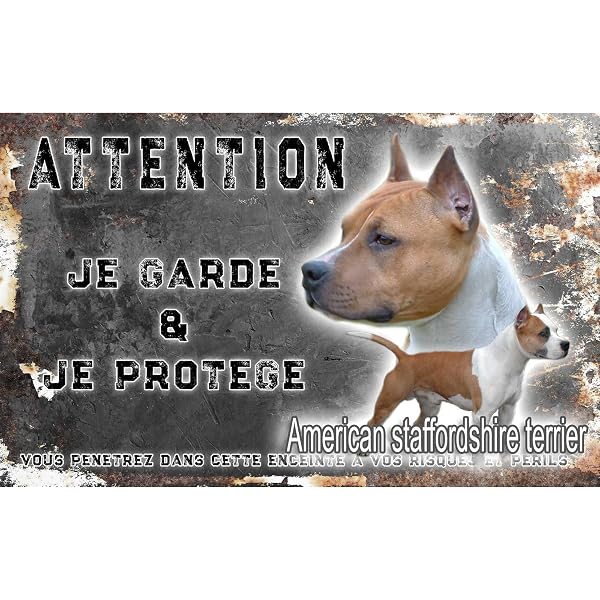 Plaque Humour 'Attention Au Chien' - Métal Aluminium 15x20cm - Style Staffie Bizarre - Personnalisable Prénom