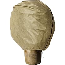 Windhager Telo Invernale Per Piante Non Tessuto 2x5m - Protezione Antigelo Traspirante Beige - 2