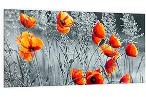 DEQORI Crédence de cuisine en verre - Motif coquelicots rouges - 100 x 50 cm - Pour salle de bain ou cuisinière - Protection anti-éclaboussures pour cuisine et salle de bain - Décoration moderne pour