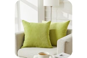 Topfinel Kissenbezug 40x40 cm Apfelgrün 2er Set weich Chenille deko Wohnzimmer Kissenbezüge Kissenhülle Sofakissen dekokissen Kuschelkissen Zierkissen für Sofa Bett Outdoor Garten Balkon