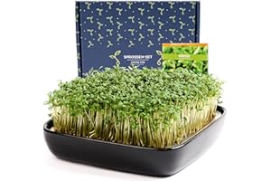 Otaro Cress Propagation Trays Including Cress Seeds (Black) | Get Started | Elegant Cress Sieve, Germination Bowls for Sprouts, Germination Bowl | Perfect as a Thank You Gifts (Premium Ceramic Set)