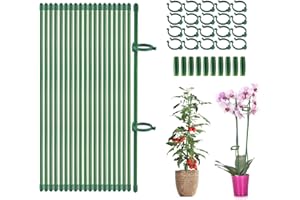 Voarge Tuteur Plante Tige, 20 Pièces Tuteur Plante Interieur, 20 Tiges de Plantes Clips, 10 Tiges Tube d'extension, Fixation de Croissance des Plantes, Protègent Les Plantes de l'Inclinaison