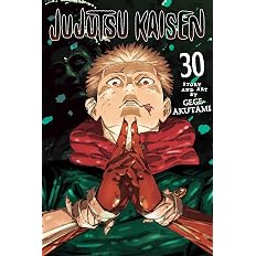 Jujutsu Kaisen, Vol. 30: Volume 30 - View 7