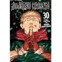 Jujutsu Kaisen, Vol. 30: Volume 30