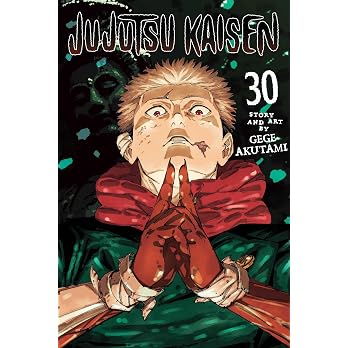 Jujutsu Kaisen, Vol. 30: Volume 30 - View 8
