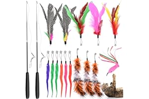 GOLDGE 17 Pezzi Giochi con Piume per Gatto, 2 Pezzi Bacchetta Interattiva Retrattabile con 15 Piuma Ricariche, Giocattoli Interattivo per Gatti