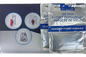 TITAN BY ARCTIC ZONE Arctic Zone High Performance Ice Pack for Bags or Coolers, Set of 2 (350 Grams Each)