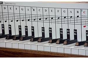 QMG Piano Note Chart, Use Behind the Keys, Made with High Quality Foam PVC Sheet, Ideal Visual Tool for Beginners Learning Piano, Easy to Set Up, Cover Four Octaves, Made in USA