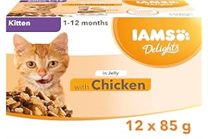 IAMS Delight Chaton Nourriture Humide en gélée saveur Poulet 12x85g